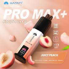 HAYATI PRO MAX+ 6000+ JUICY PEACH KIT