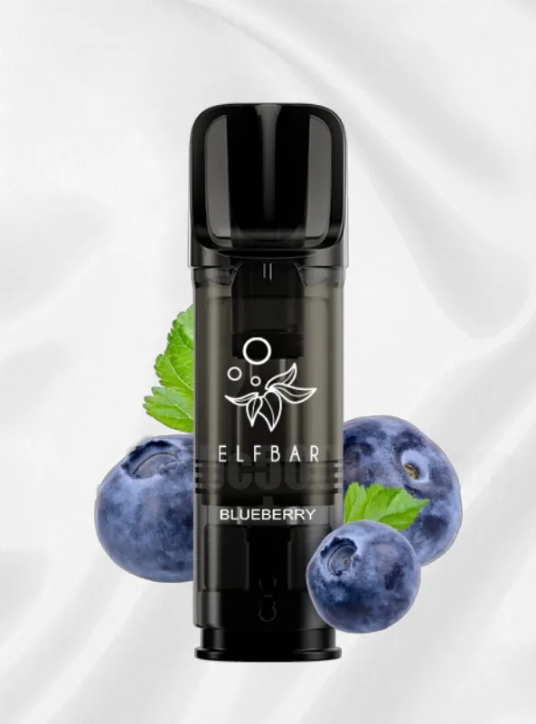 Elfbar 600 blueberry pod